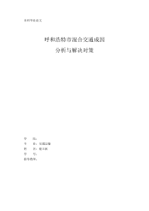 呼和浩特市混合交通成因分析与解决对策