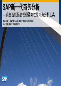 SAP新一代商务分析67812667