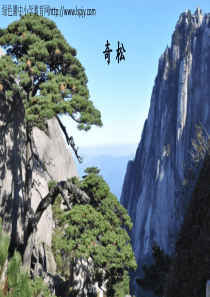 部编版二年级语文9-黄山奇石