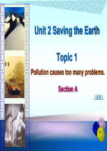 科普版九年级英语上册《Topic-1-Pollution-has-caused-too-many-p