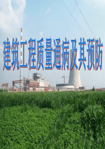 226254_建筑工程质量通病及其预防(图文并茂)