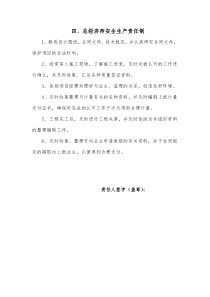 总经济师安全生产责任制