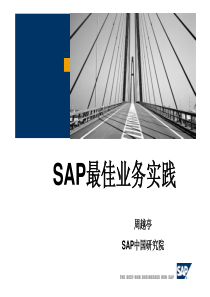 SAP最佳业务实践