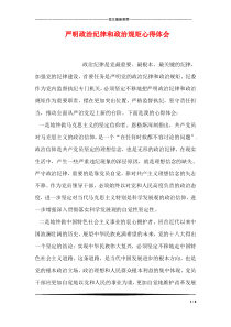 严明政治纪律和政治规矩心得体会