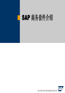 SAP最新软件产品介绍