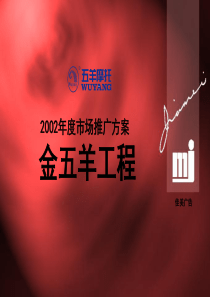 XXXX年度市场推广方案金五羊工程