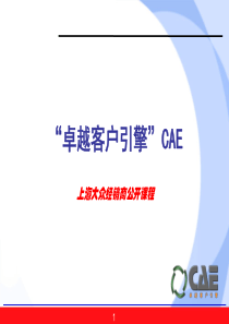 CAE——市场推广、集客导航器运用培训课程（绝对精品）