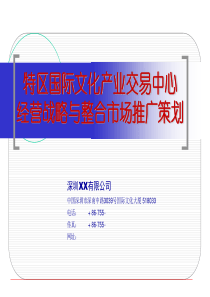 d××产业交易中心经营战略与整合市场推广策划