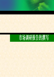 No5市场调研报告的撰写