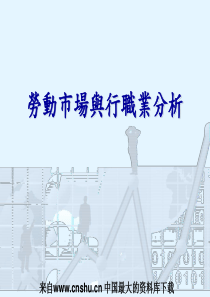 aau_劳动市场与行职业分析(ppt 73)