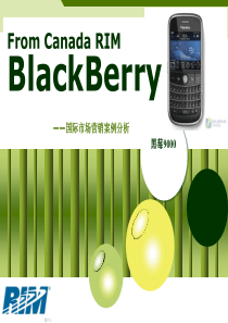 Blackberry手机国际市场营销4P战略分析