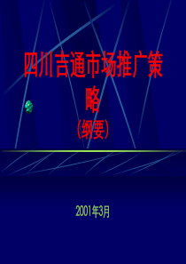 四川吉通市场推广策略(1)