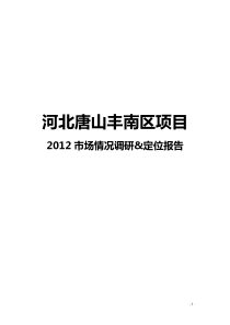 X年河北唐山丰南区项目市场情况调研_定位报告