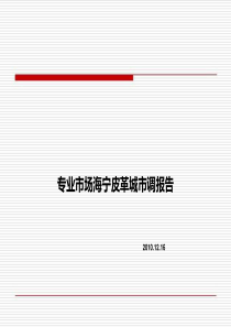 专业市场海宁皮革城市调研究报告