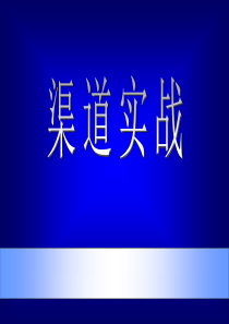 市场总监培训之渠道实战