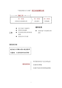 世联-河南淮滨县桂花岗综合大市场项目市场调研分析-21页