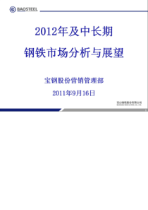 XXXX年及中长期钢铁市场分析与展望