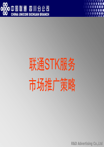 联通STK服务市场推广策略-瑞狮