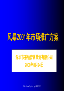 风暴市场推广方案ppt模板