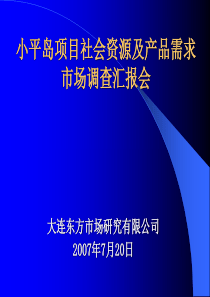 大连小平岛项目社会资源及产品需求市场调查-197PPT