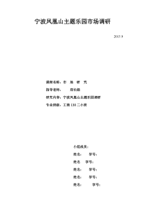 宁波凤凰山主题乐园市场调研ok