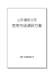 山东通信公司宽带市场调研方案