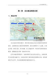 东台市场分析报告(改)