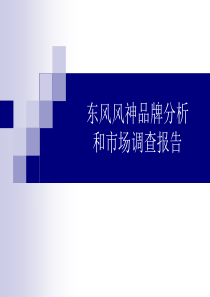 东风风神品牌与市场分析报告