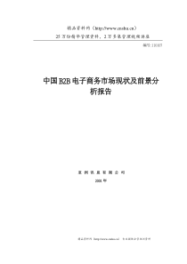 中国B2B电子商务市场现状及前景分析报告