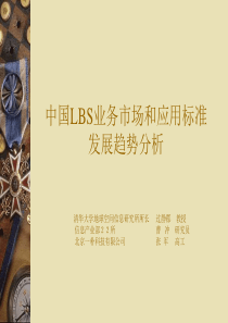 中国LBS业务市场分析