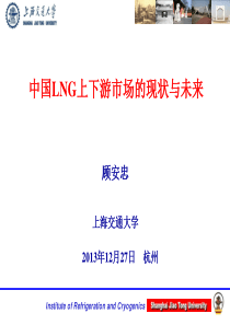 中国LNG上下游市场分析与未来市场发展预测--顾安忠