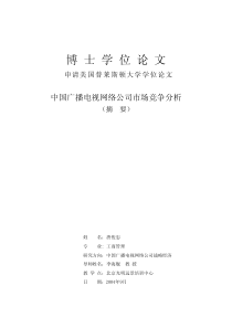 中国广播电视网络公司市场竞争分析