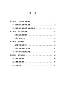 新密房地产市场调研报告