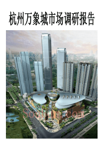 杭州万象城市场调研报告