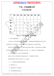 产品市场战略分析