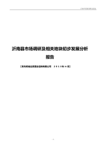 沂南市场调研及相关地块策划报告XXXX1019