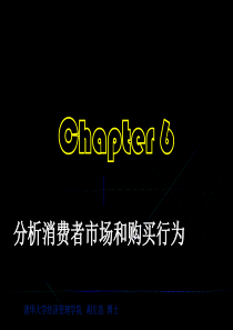 分析消费者市场和购买行为(1)