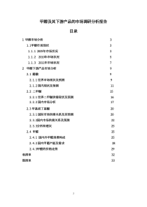 甲醇及其下游产品的市场和技术路线调研报告