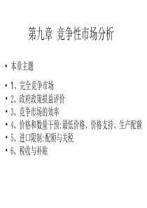 厦门大学微观讲义第九章竞争性市场分析