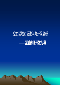 空白区域市场进入与开发调研