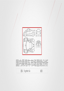 国内乘用车市场营销分析