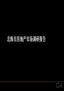 策划案例_北海房地产市场调研XXXX(1)