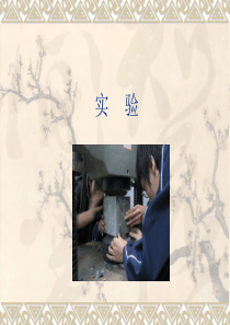 建筑材料实验(需做的实验内容)