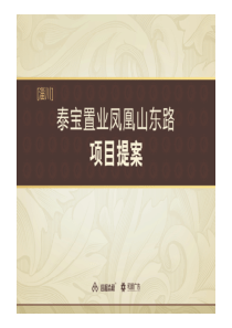 辽宁丹东淄川凤凰山东路项目市场调研及物业发展建议提案_99页