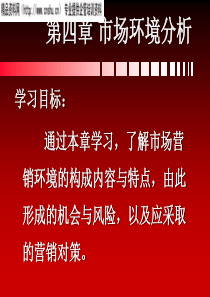 市场环境分析--企业与营销环境的关系（PPT111页）