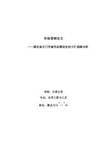 市场营销—湖北省天门市城市品牌定位的STP战略分析