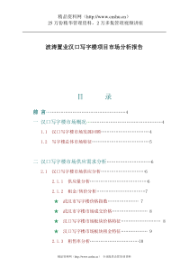 波涛置业汉口写字楼项目市场分析报告