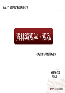 浙江宁波青林湾观津观泓市场分析与销售策略建议_86PPT_XXXX年