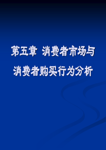 消费者市场与消费者购买行为分析