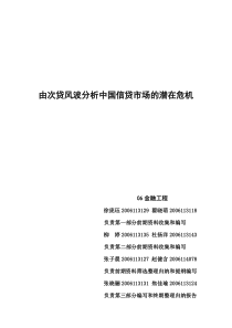 由次贷风波分析中国信贷市场的潜在危机